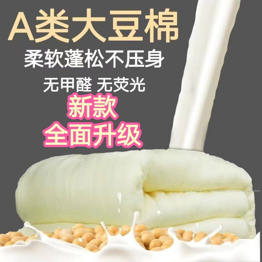 A类大豆纤维棉被芯填充棉丝棉做被褥家用春夏秋冬填充物无荧光