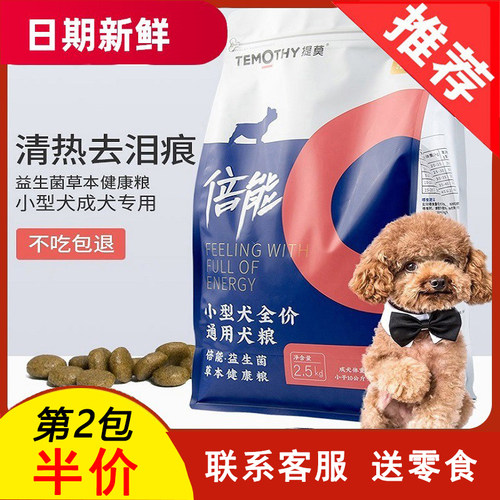 成犬贵宾小型奶糕幼犬