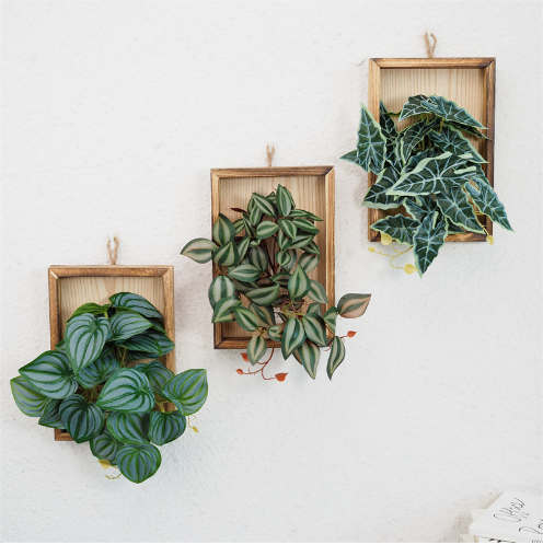 仿真绿植壁挂花眼眉叶花艺挂墙