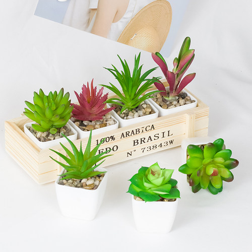 多肉假植物家居摆件桌面塑料花