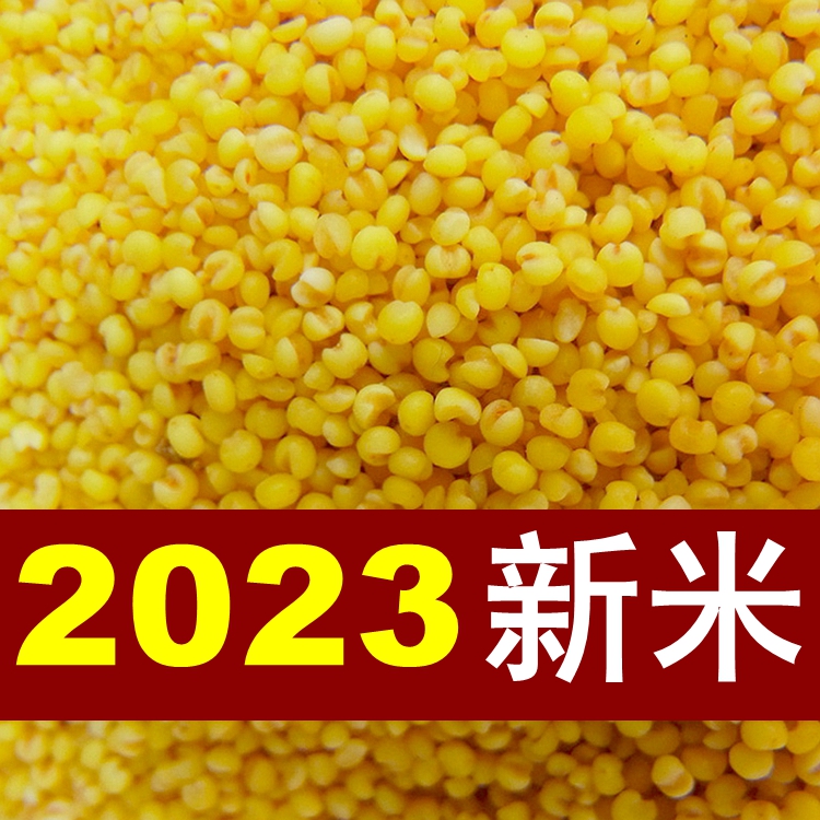 【2斤】2023年新黄小米农家小米新小黄米宝宝成人月子米粗粮杂粮 粮油调味/速食/干货/烘焙 小米 原图主图