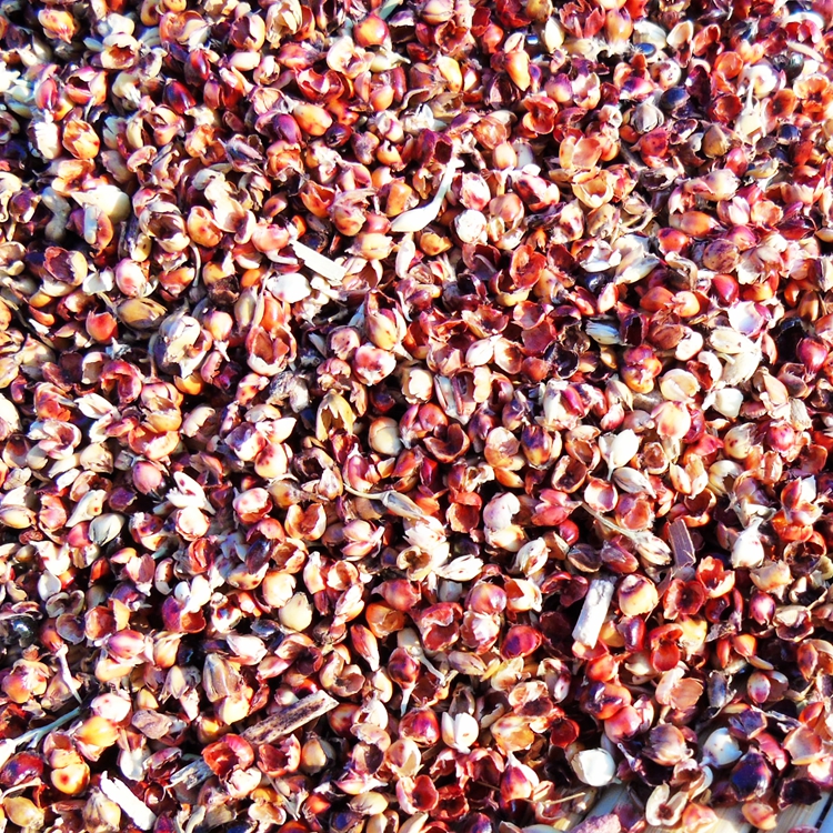 红高粱壳皮秕谷瘪谷子荞麦壳黍子谷壳小米壳枕头套枕芯皮填充物