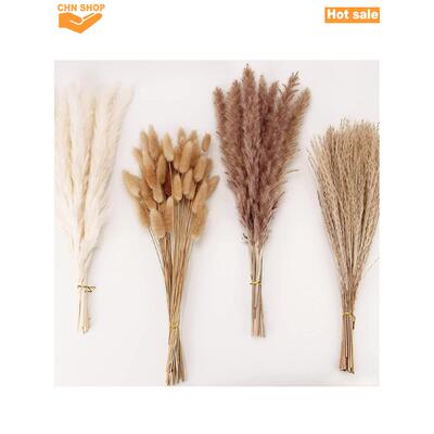 100pcs Room decor dried flower bouquet pampas grass Bohemian