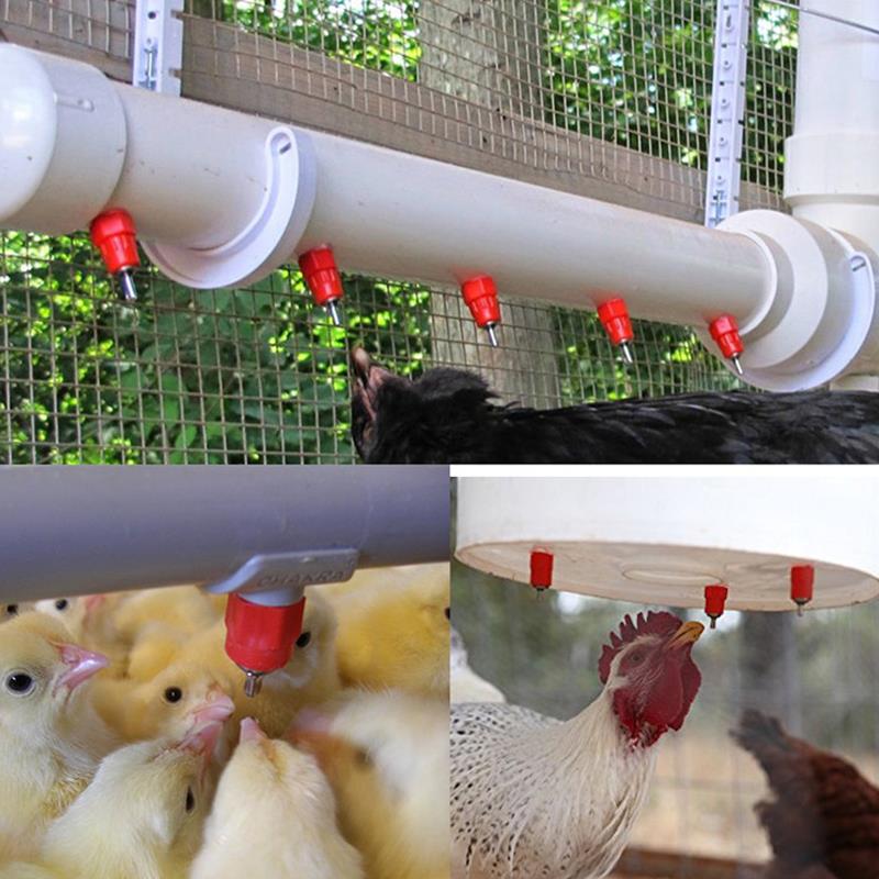 Chicken Waterer Nipple Drinkers Quail Pigeon Bird Waterer Ni