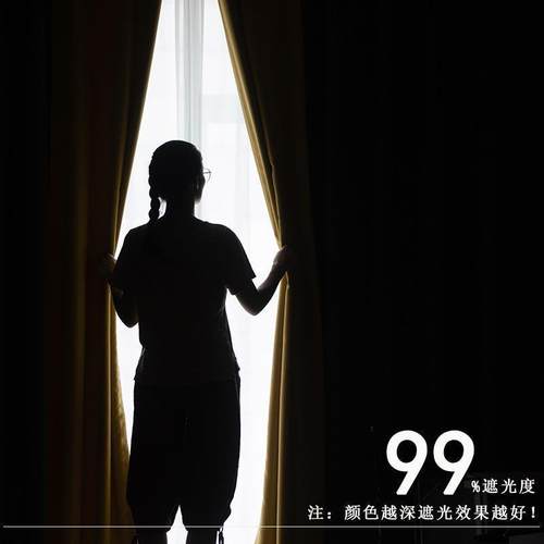 Blackout curtains bedroom modern minimalist style Nordic