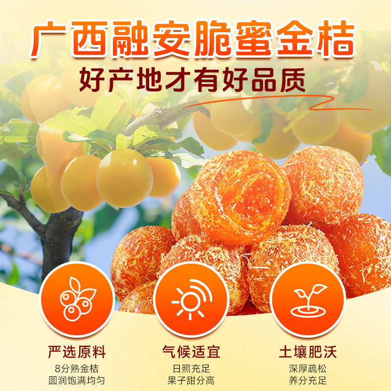 北京同仁堂内廷上用甘草金桔正宗广西特产金桔干蜜饯官方正品零食