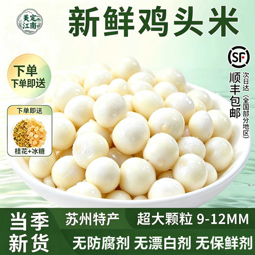 美定江南超大颗粒9-12mm鸡头米新鲜芡实苏州2026头茬鲜果即食当季