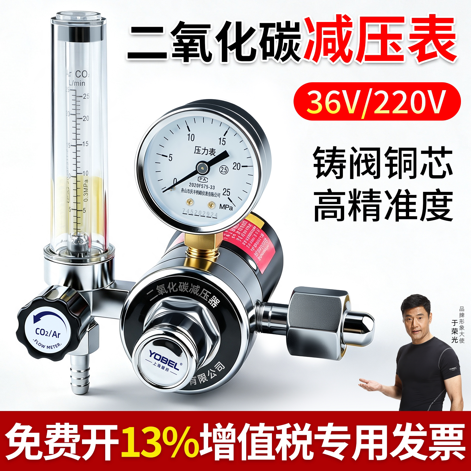 二氧化碳减压阀co2表压力表220V减压器36V节能减压表加热表气压表