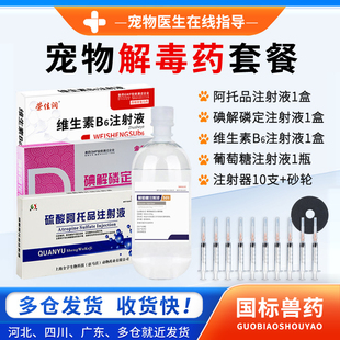宠物解毒急救套装猫咪狗狗中毒解毒药急救包阿托品碘解磷定注射剂
