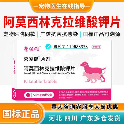 宠物猫狗尿道感染肠炎阿莫西林克拉维酸钾片消炎片呼吸道消炎药