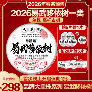 普洱生茶春茶预售品牌2026年头春易武哆依树一类单株高杆古树357g