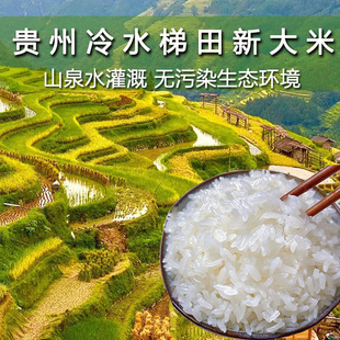大米2024年新米贵州深态长粒软糯大山黔东南农家梯田生态大米10斤