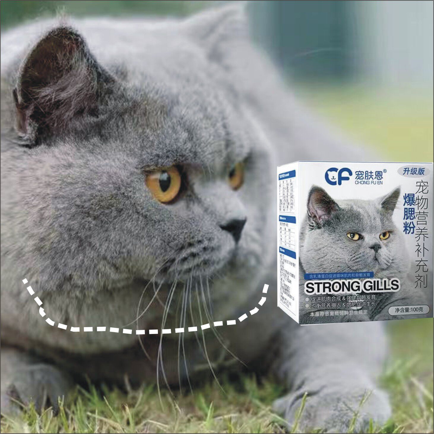 猫咪发腮增肥增胖爆腮粉促进头部骨骼和脸部骨骼发育提高食欲营养