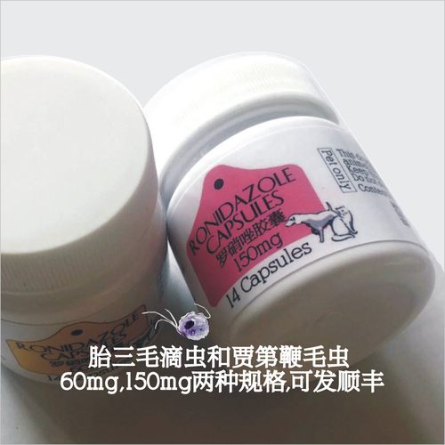 罗硝唑胎三毛贾第鞭便血猫狗