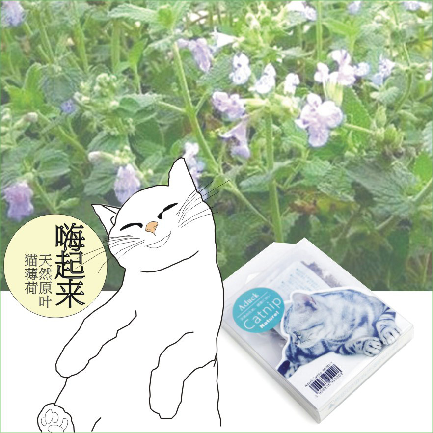 催吐毛球天然猫薄荷减压品