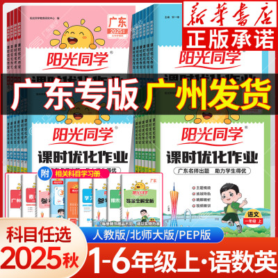2025年适用上册课时优化作业