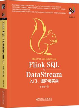 机工  Flink SQL与DataStream：入门、进阶与实战 羊艺超