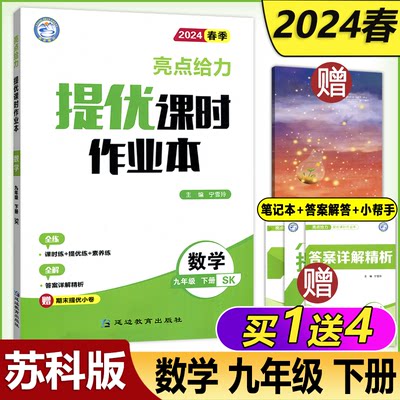 2024春亮点给力提优课时作业本