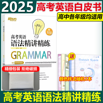 2025高考英语语法精讲精练