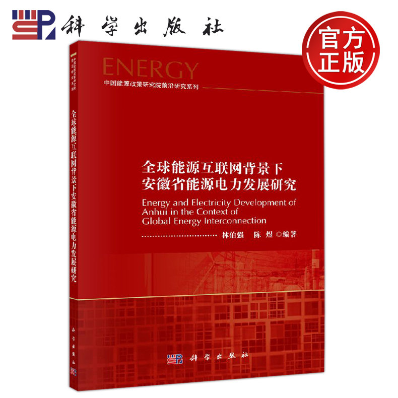 正版现货全球能源互联网背景下安徽省能源电力发展研究林伯强陈煜-科学出版社