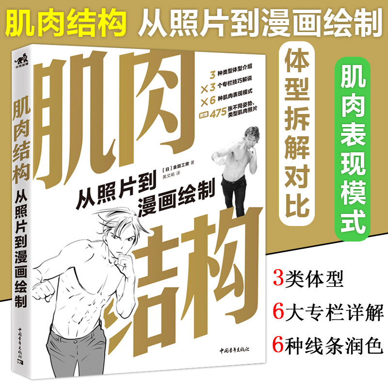 现货 中青 肌肉结构 从照片到漫画绘制 画男性身体肌肉描绘方法全身