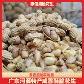 忠信咸脆花生咸香酥脆河源客家特产咸松香酥花生带壳原味坚果零食