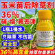 36%玉米田苗后专用除草剂安全型硝烟莠去津除玉米田杂草叶面肥