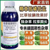 速草风精草胺磷铵盐除草剂草铵磷杀草剂牛筋草恶性杂草强力烂根剂
