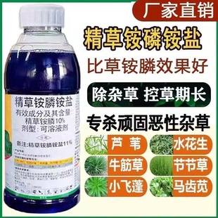 速草风精草胺磷铵盐除草剂草铵磷杀草剂牛筋草恶性杂草强力烂根剂