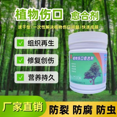 植物伤口愈合剂果树大树嫁接伤口封口快速愈合涂切口人工树皮专用