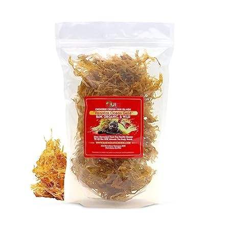 Peruvian Sea Moss - Chondrus Crispus， 4 Oz | Makes 120+ O
