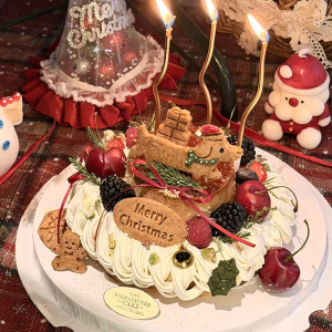 网红同款圣诞节快乐礼物腊肠狗饼干压模蛋糕装饰曲线蜡烛装扮插件