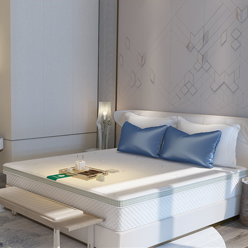 大自然山棕护脊床垫印象260