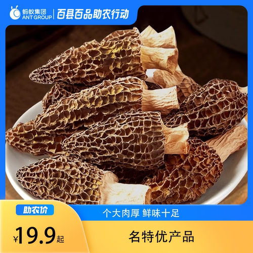 羊肚菌干货味香肉厚精选菇菌新鲜晒干炖汤煲汤