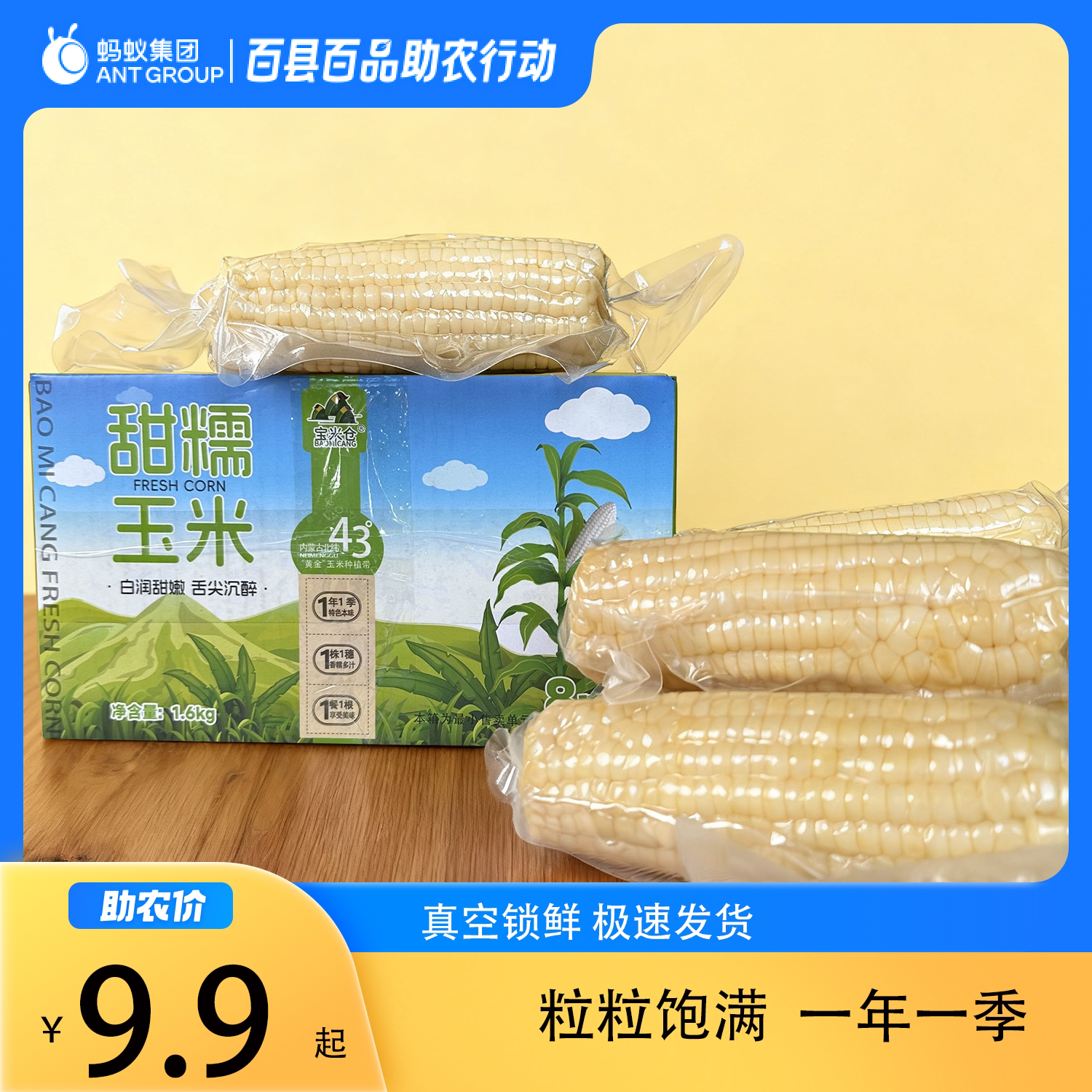 内蒙古林西县甜糯玉米