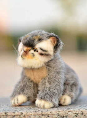 仿真兔狲 小猫咪 Otocolobus manul 毛绒玩具公仔玩偶节日礼品