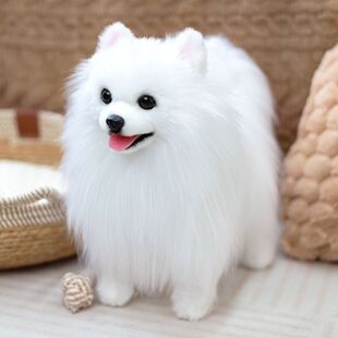 凯特胡赛尼仿真仿真白博美犬狗狗玩偶公仔毛绒玩具男女孩陪伴礼物