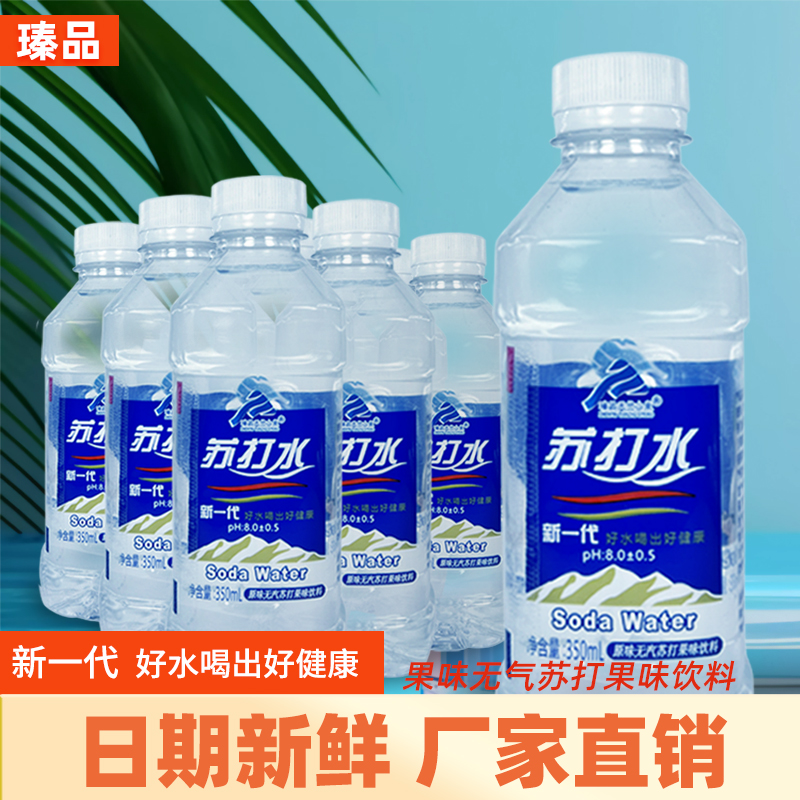 350ml瑧品天竺山泉苏打水饮料