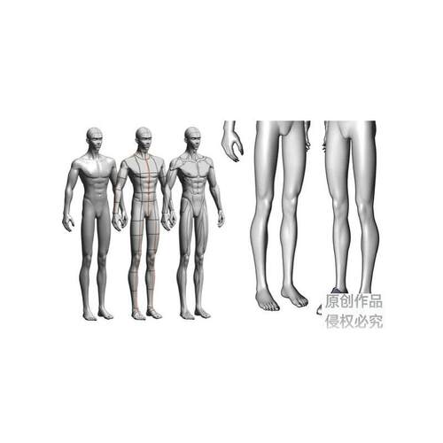 CSP3d模型超详细可动男性