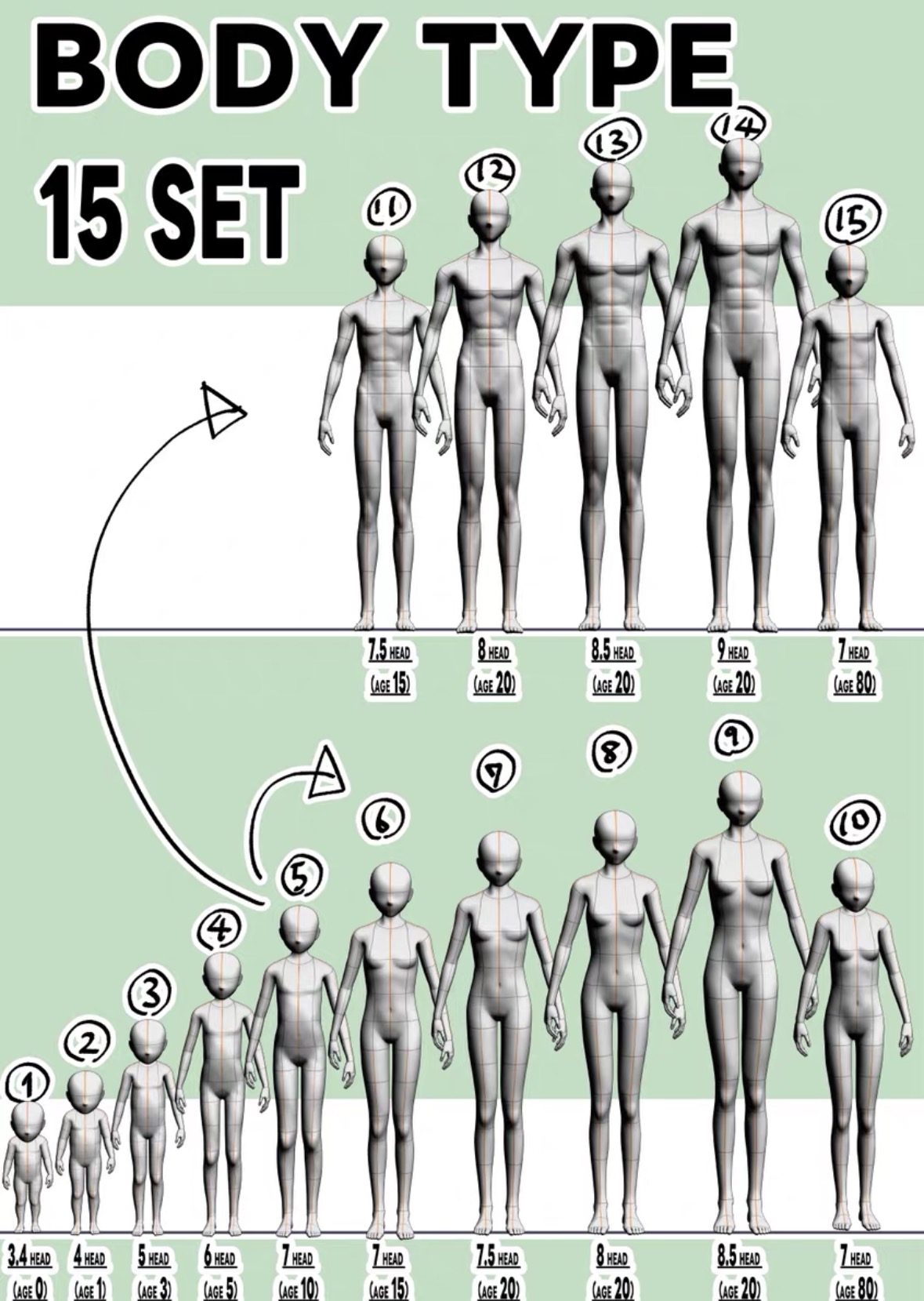 csp 各年龄段人体 男 女 人体 3d 模型 优动漫  仅csp可用