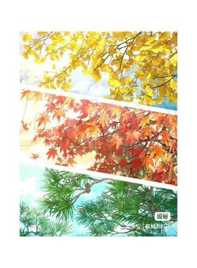 【秒发】acon3D模型万能组合草叶刷 16种植物的3种 落