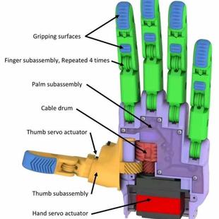 Upper Robotic Limb机器人上肢机械臂结构3D 秒发