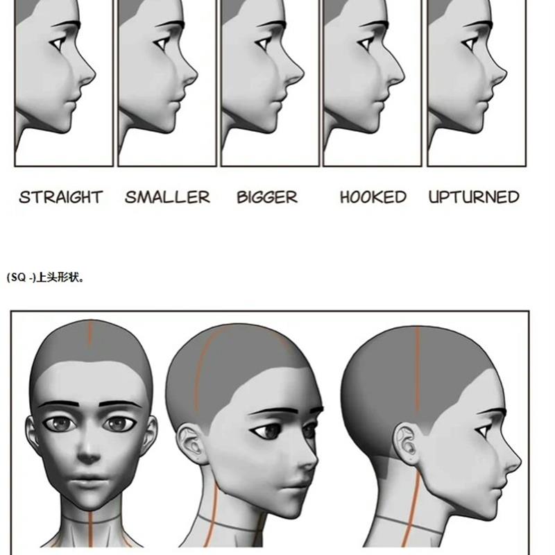 【CSP3d模型】各种表情女头3d模型  3d头 clip文