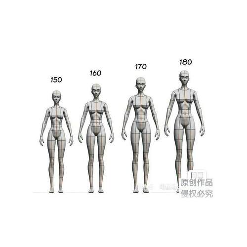 CSP3d模型超详细可动女性