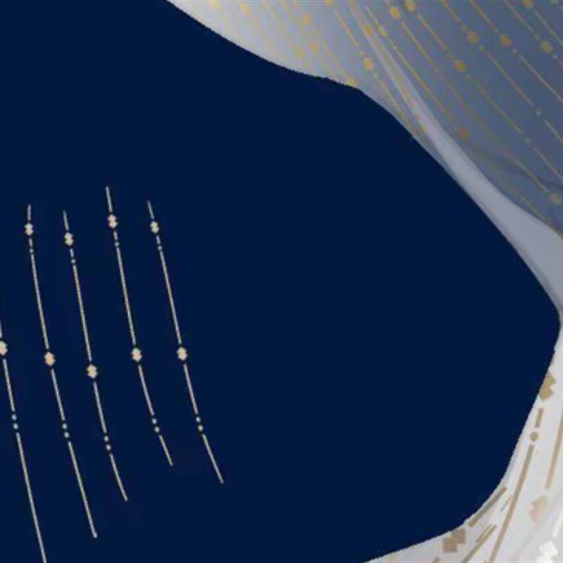 csp笔刷  布面纹理 装饰笔刷 csp 服饰笔刷