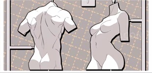 csp acon3d 人体 男 女 人体 模型 优动漫 clip文件贴图