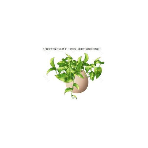 【CSP笔刷】效果逼真的绿萝画笔