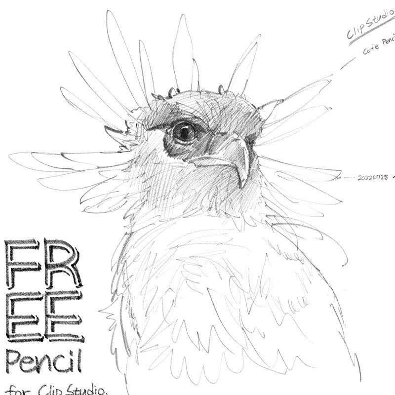CSP铅笔笔刷  五款集合
