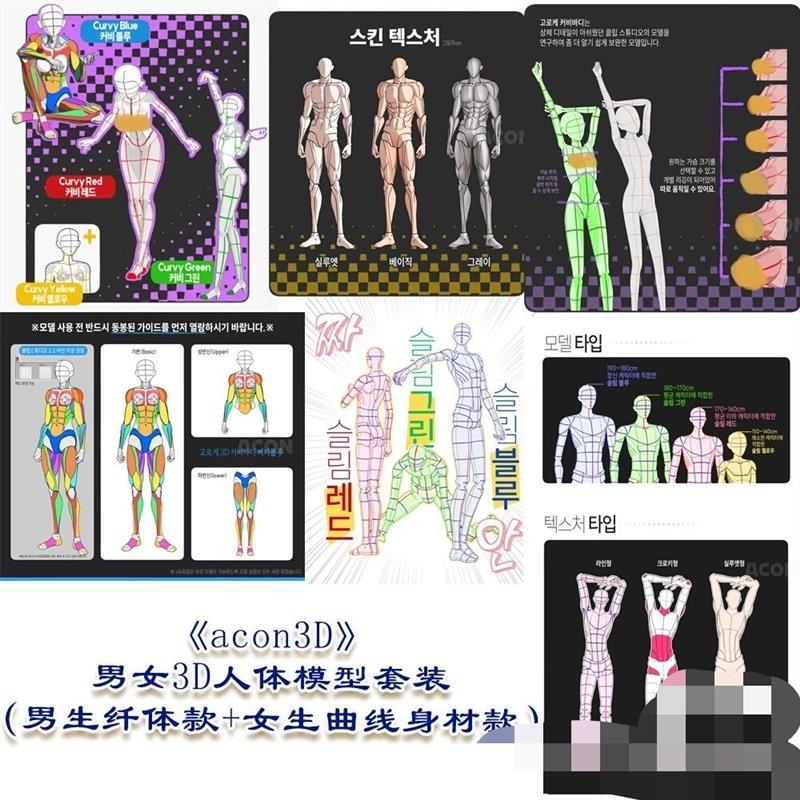 【acon3d】女生3D曲线身材+男生纤细身材套装模型