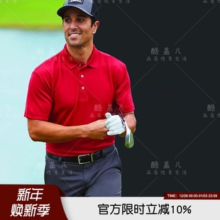 T恤翻领男士 高端运动休闲短袖 吸湿透气排汗夏季 POLO衫 神品